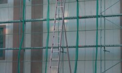 IMG_7540