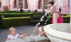 IMG_9321